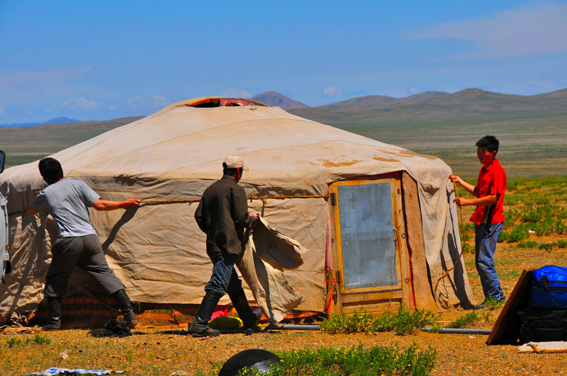 Mongolie